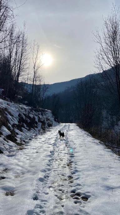 Little Canadian Lodge, Limone Limone Piemonte Εξωτερικό φωτογραφία