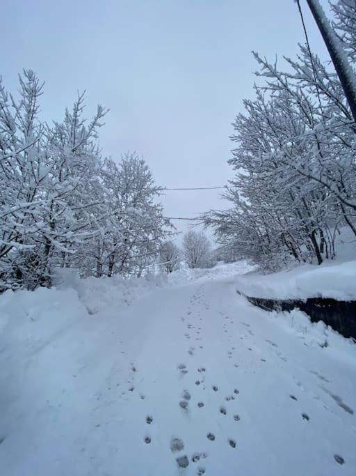 Little Canadian Lodge, Limone Limone Piemonte Εξωτερικό φωτογραφία